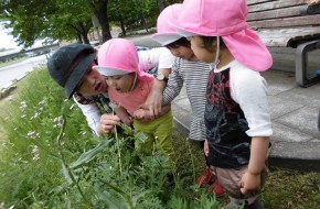 主活動・あそび