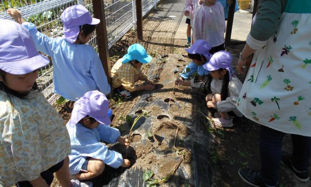 第一園　５月のできごと