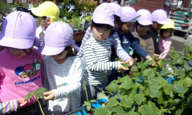 野菜の苗植え　５月１日・２日・７日