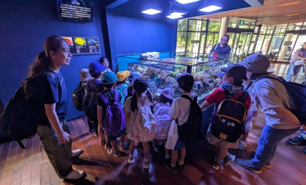 第二園　恵光ひこばえクラブ　夏のお出かけ　マリンピア     8月1日