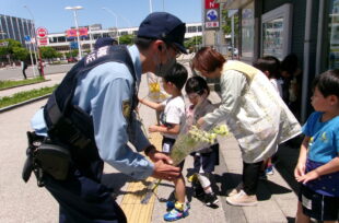アルバム写真