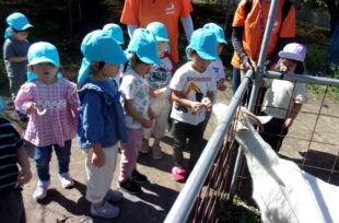 アルバム写真